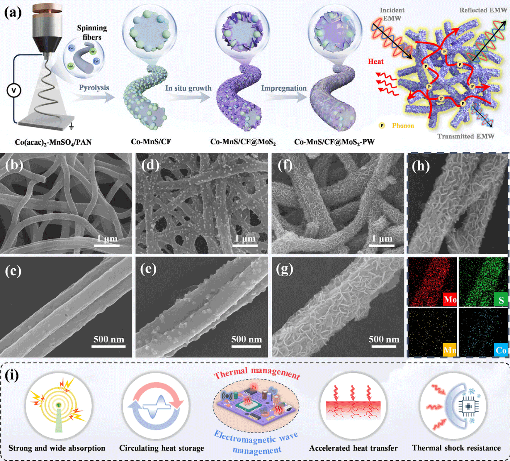 4篇《Adv. Funct. Mater.》！“静电纺丝&纳米纤维”最新研究成果